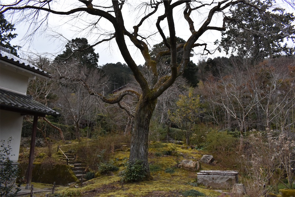 f:id:matsumotoyusuke:20230502224225j:image