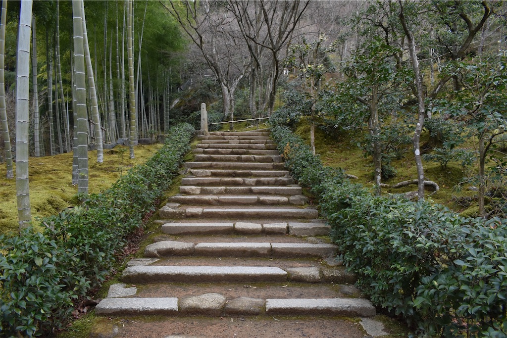 f:id:matsumotoyusuke:20230502224235j:image