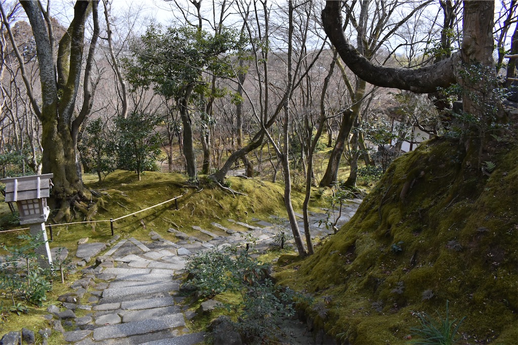 f:id:matsumotoyusuke:20230502224238j:image