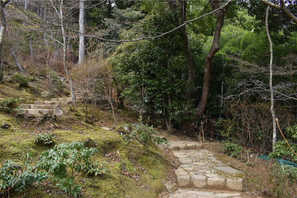 f:id:matsumotoyusuke:20230502224258j:image