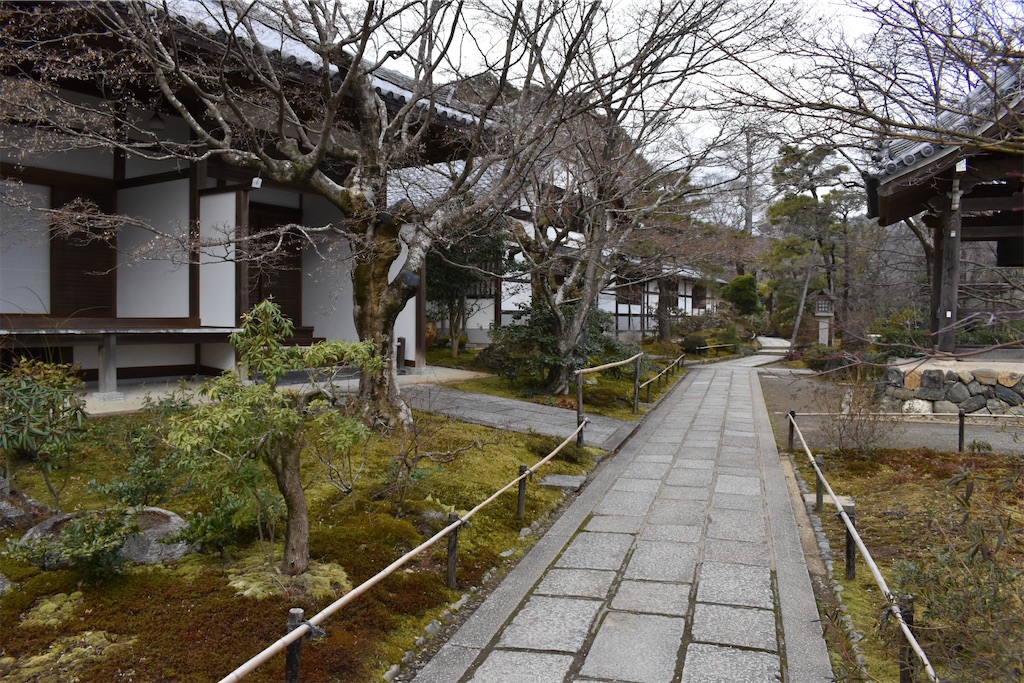 f:id:matsumotoyusuke:20230502224310j:image