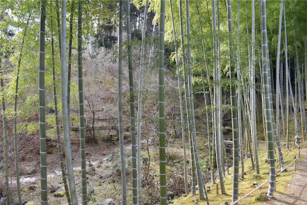 f:id:matsumotoyusuke:20230502224327j:image