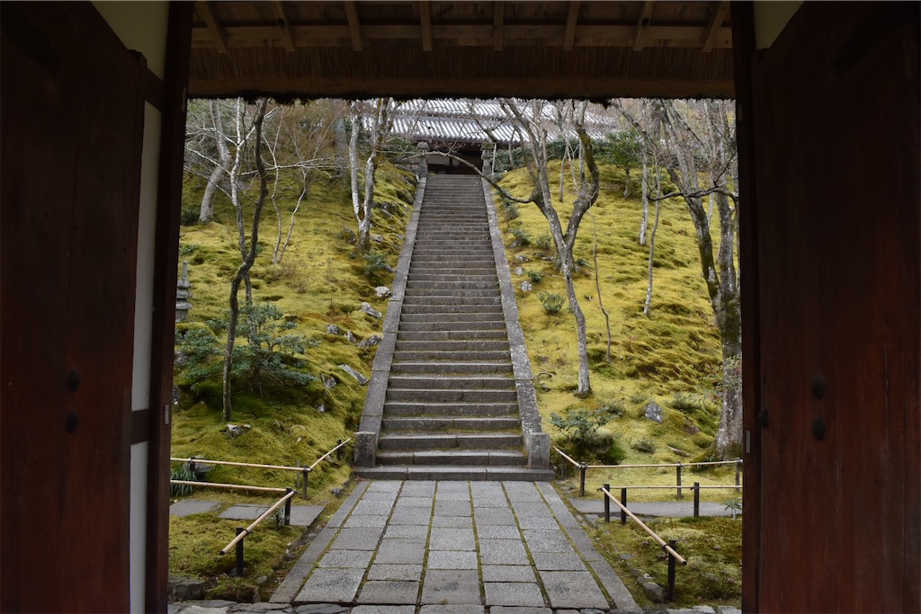 f:id:matsumotoyusuke:20230502224338j:image