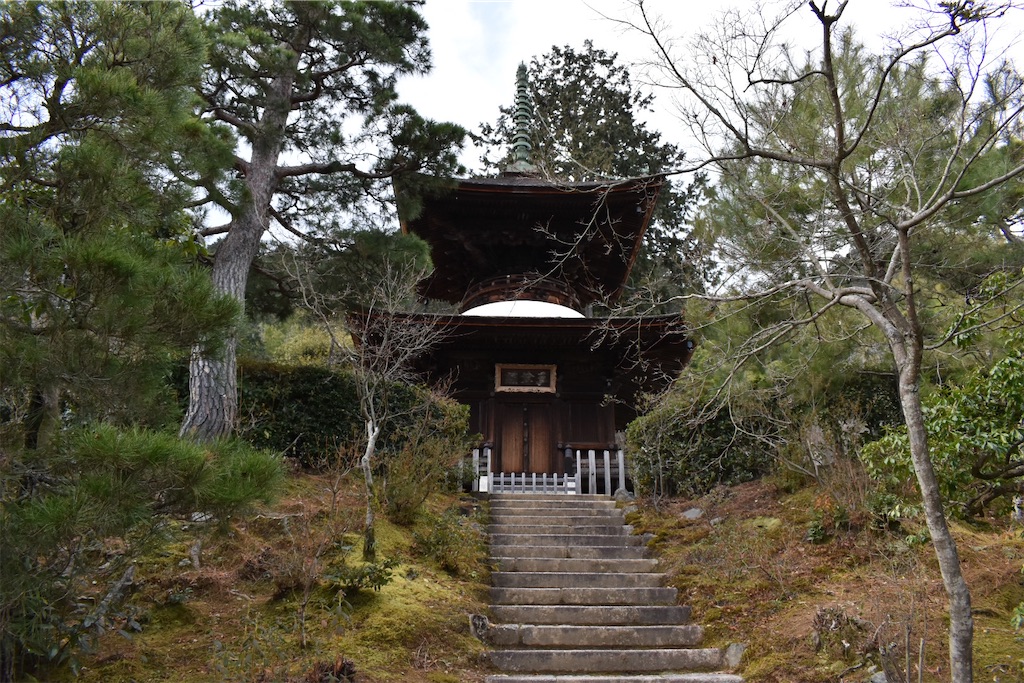 f:id:matsumotoyusuke:20230502224427j:image