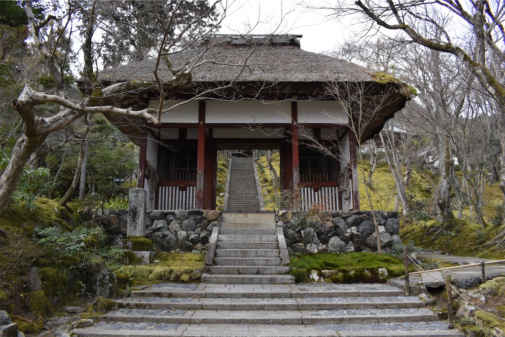f:id:matsumotoyusuke:20230502224433j:image