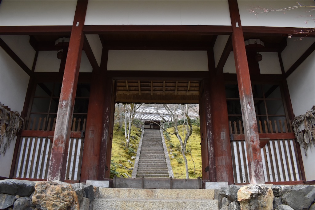 f:id:matsumotoyusuke:20230502224447j:image