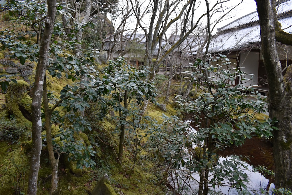 f:id:matsumotoyusuke:20230502224520j:image