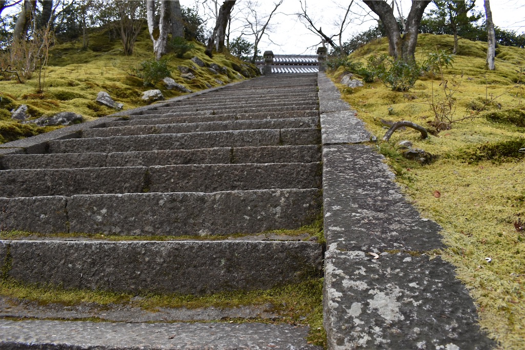 f:id:matsumotoyusuke:20230502224523j:image