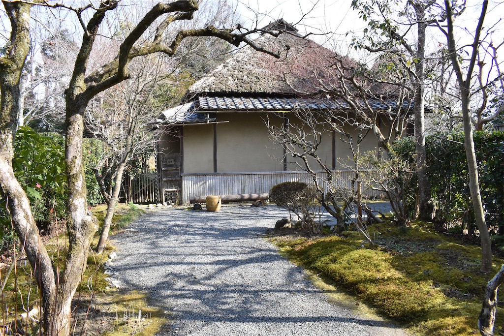 f:id:matsumotoyusuke:20230502225305j:image