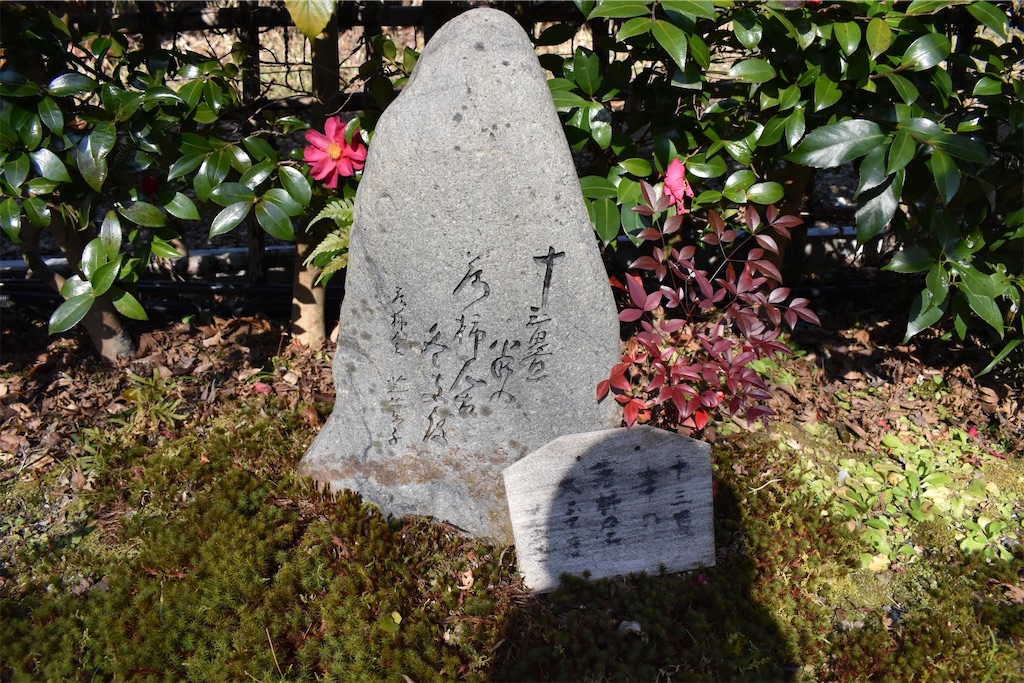 f:id:matsumotoyusuke:20230502225322j:image
