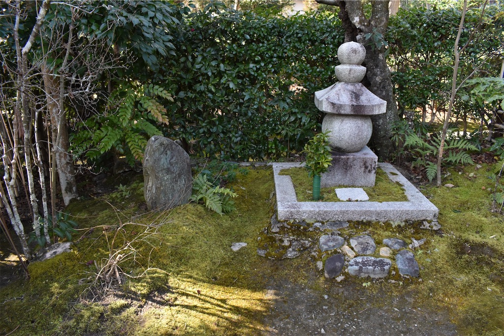 f:id:matsumotoyusuke:20230502225345j:image