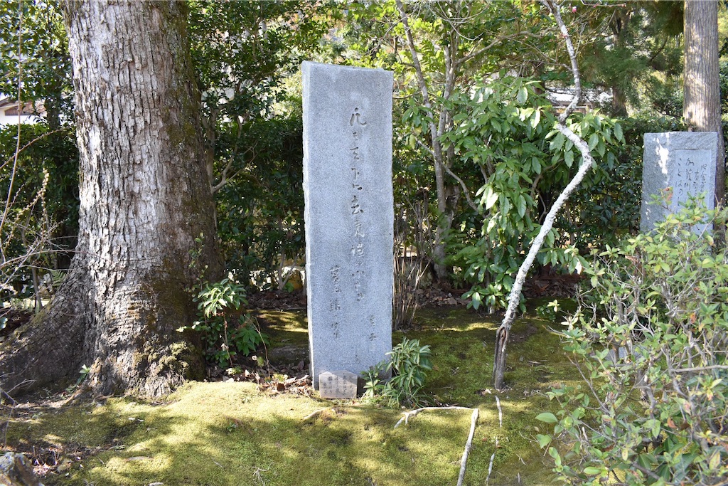 f:id:matsumotoyusuke:20230502225348j:image