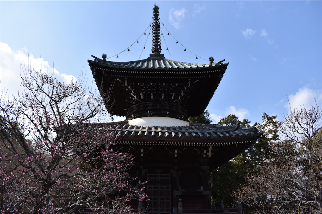 f:id:matsumotoyusuke:20230502225758j:image f:id:matsumotoyusuke:20230502225758j:image