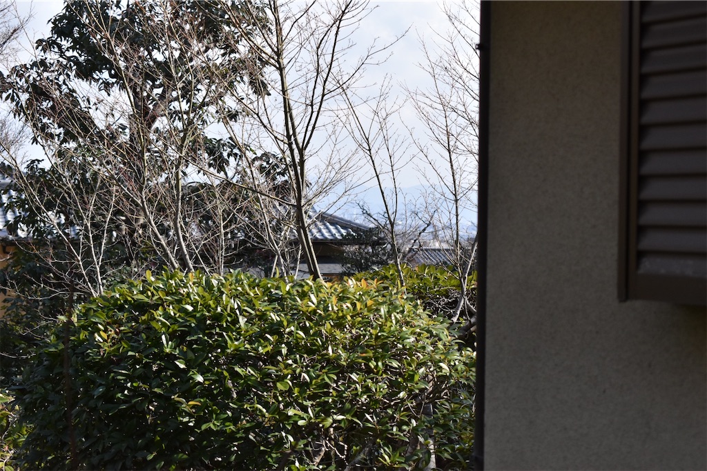 f:id:matsumotoyusuke:20230502230131j:image