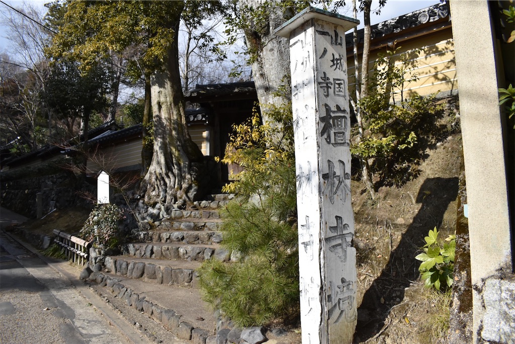 f:id:matsumotoyusuke:20230502230140j:image