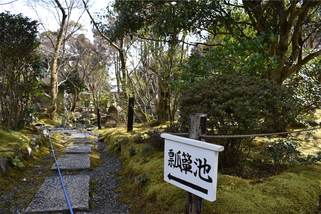 f:id:matsumotoyusuke:20230502230152j:image
