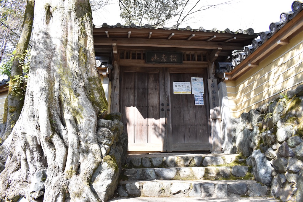 f:id:matsumotoyusuke:20230502230155j:image