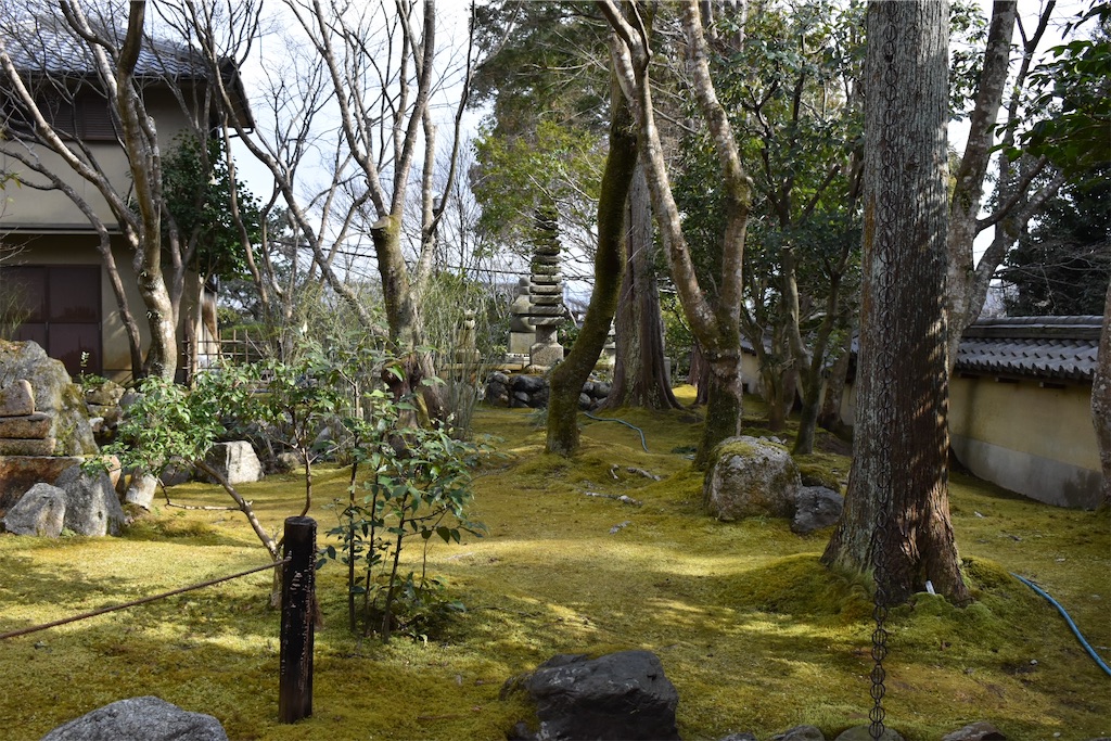 f:id:matsumotoyusuke:20230502230158j:image