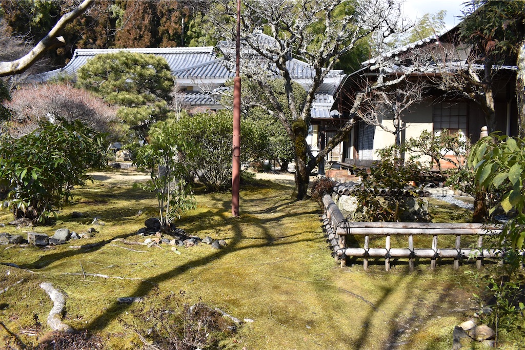f:id:matsumotoyusuke:20230502230209j:image