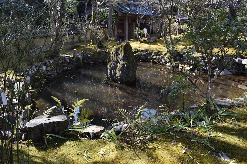 f:id:matsumotoyusuke:20230502230221j:image