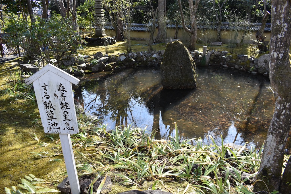 f:id:matsumotoyusuke:20230502230227j:image