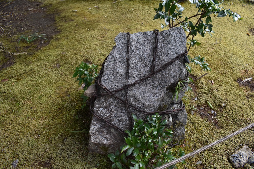 f:id:matsumotoyusuke:20230502230230j:image