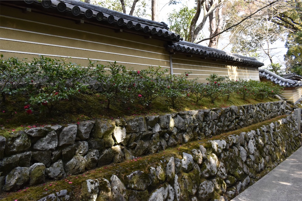f:id:matsumotoyusuke:20230502230235j:image