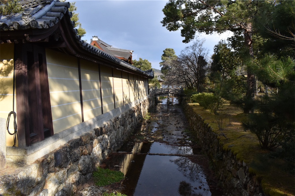 f:id:matsumotoyusuke:20230503220750j:image