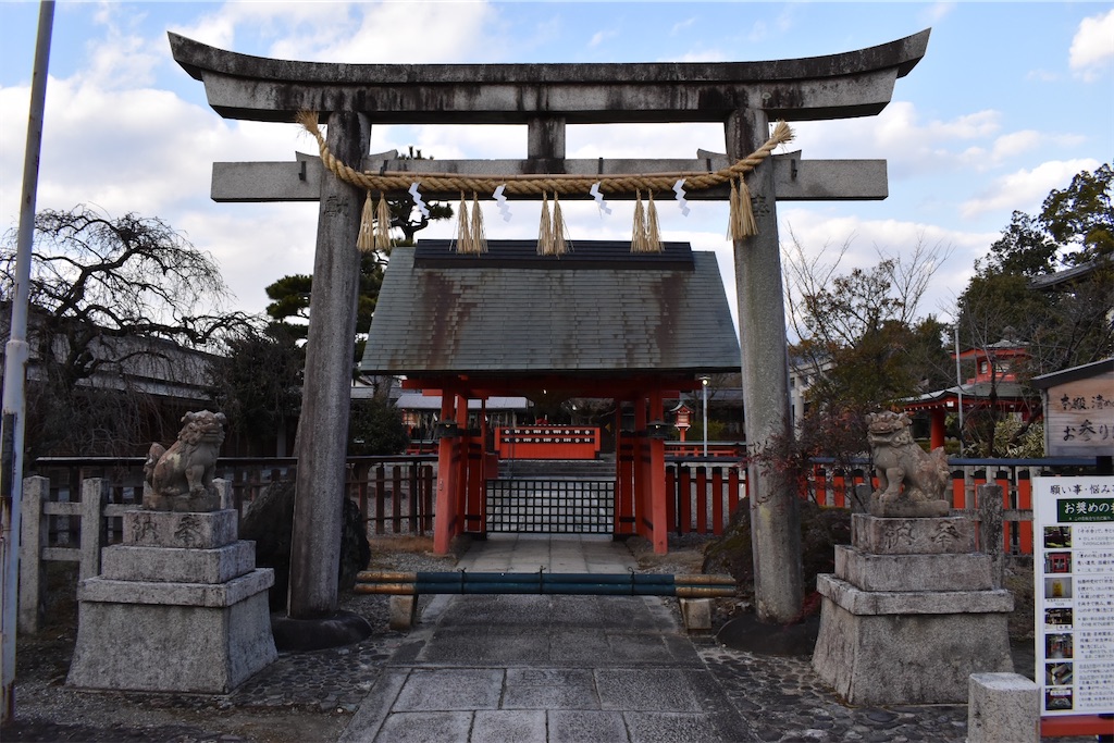 f:id:matsumotoyusuke:20230503222948j:image