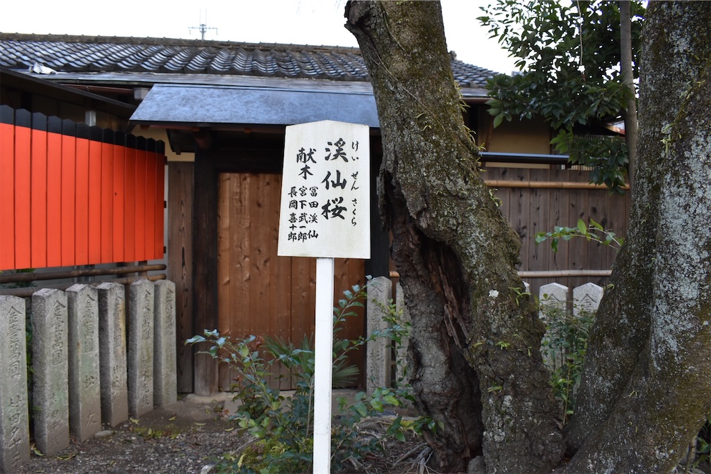 f:id:matsumotoyusuke:20230503223003j:image