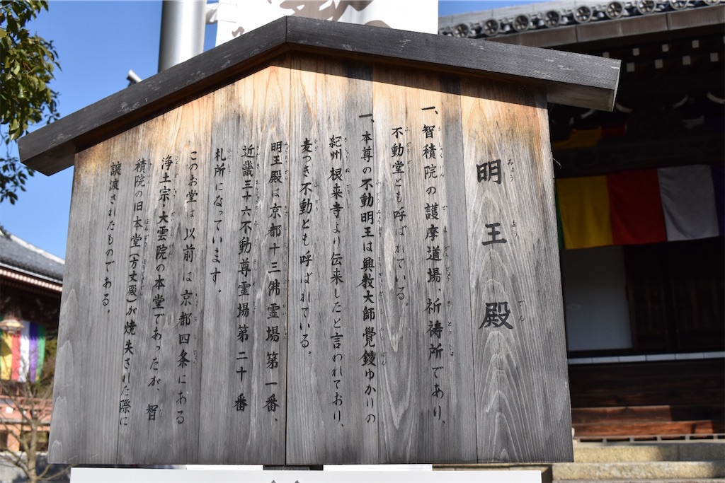 f:id:matsumotoyusuke:20230621213335j:image