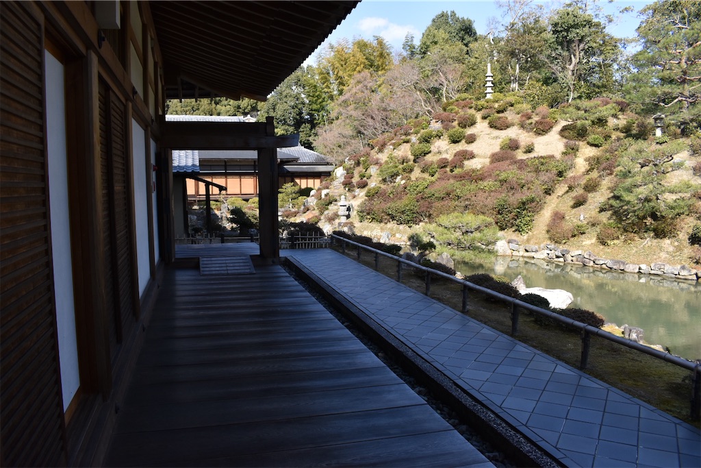f:id:matsumotoyusuke:20230621213347j:image