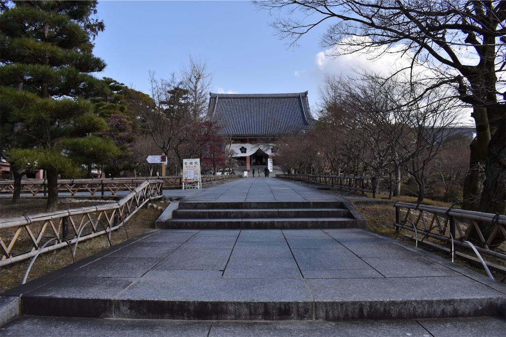 f:id:matsumotoyusuke:20230621213351j:image