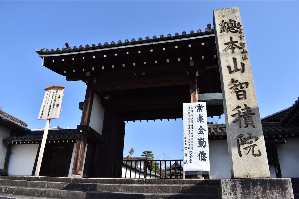 f:id:matsumotoyusuke:20230621213404j:image