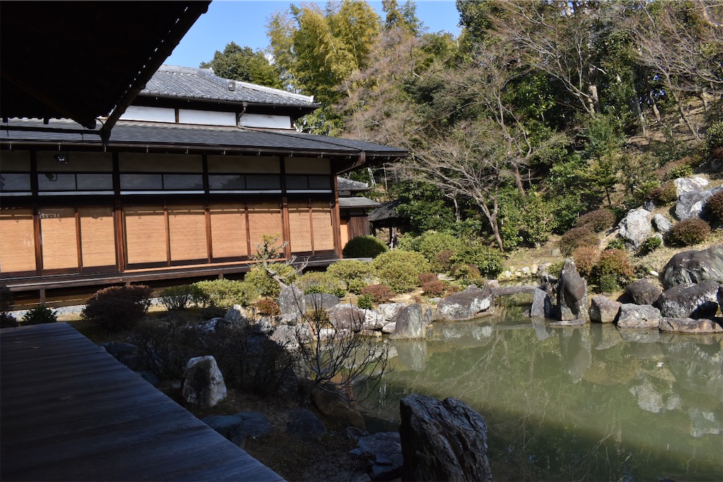 f:id:matsumotoyusuke:20230621213417j:image
