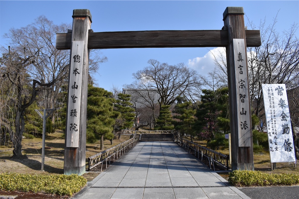 f:id:matsumotoyusuke:20230621213420j:image