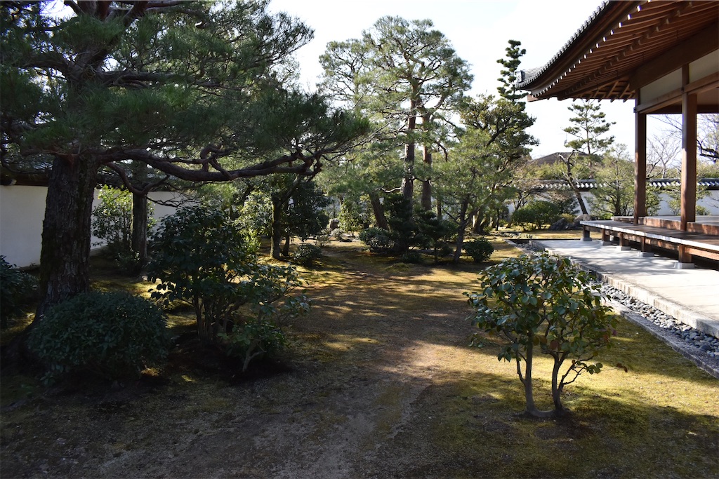 f:id:matsumotoyusuke:20230621213456j:image