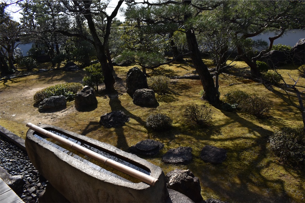 f:id:matsumotoyusuke:20230621213500j:image
