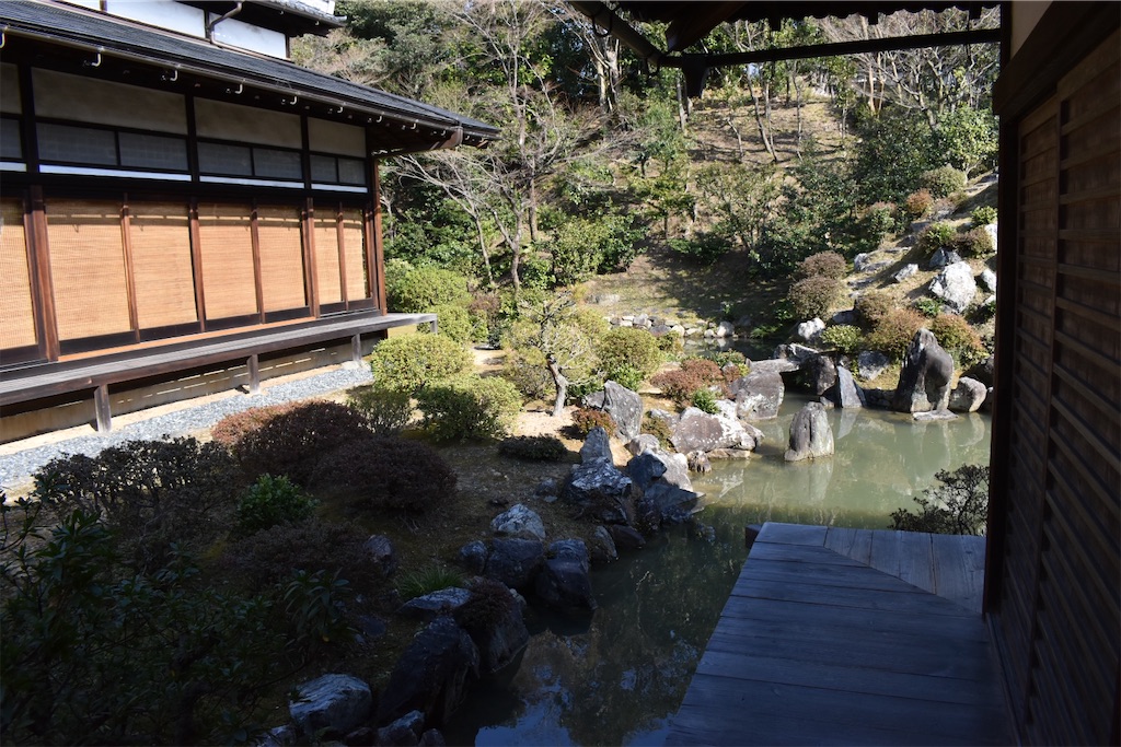 f:id:matsumotoyusuke:20230621213551j:image