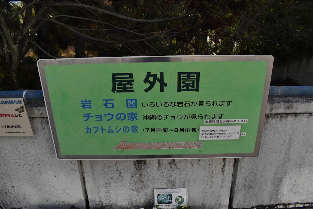 f:id:matsumotoyusuke:20230621215532j:image