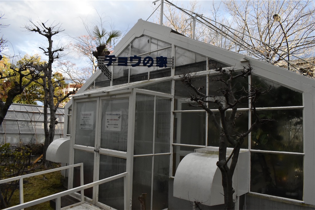 f:id:matsumotoyusuke:20230621215840j:image