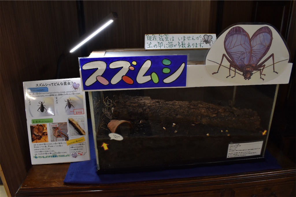f:id:matsumotoyusuke:20230621215921j:image