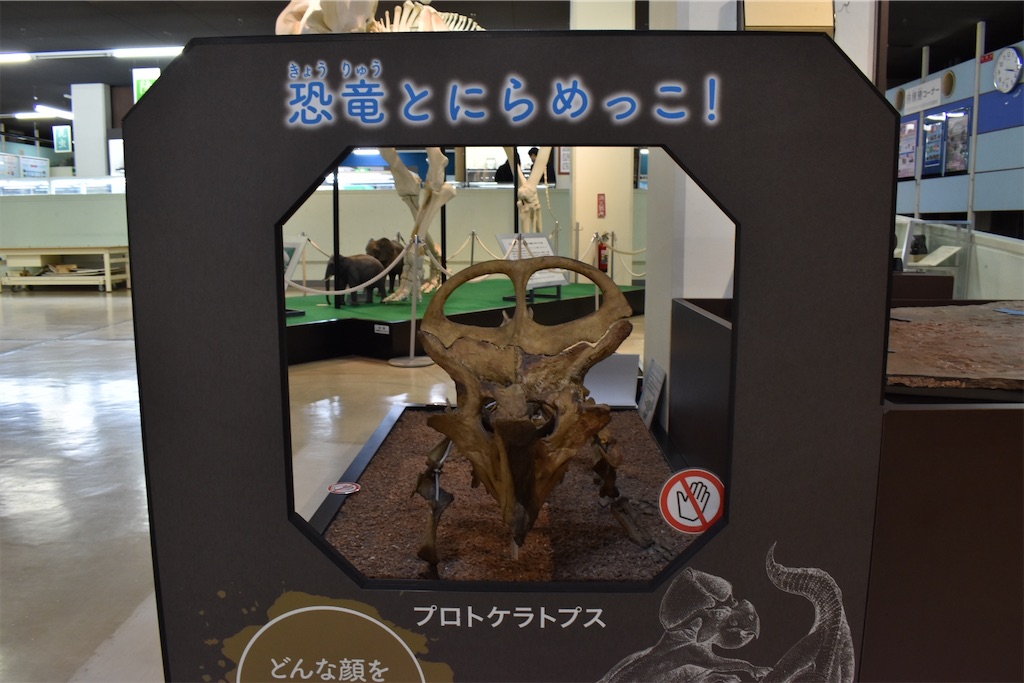 f:id:matsumotoyusuke:20230621215927j:image