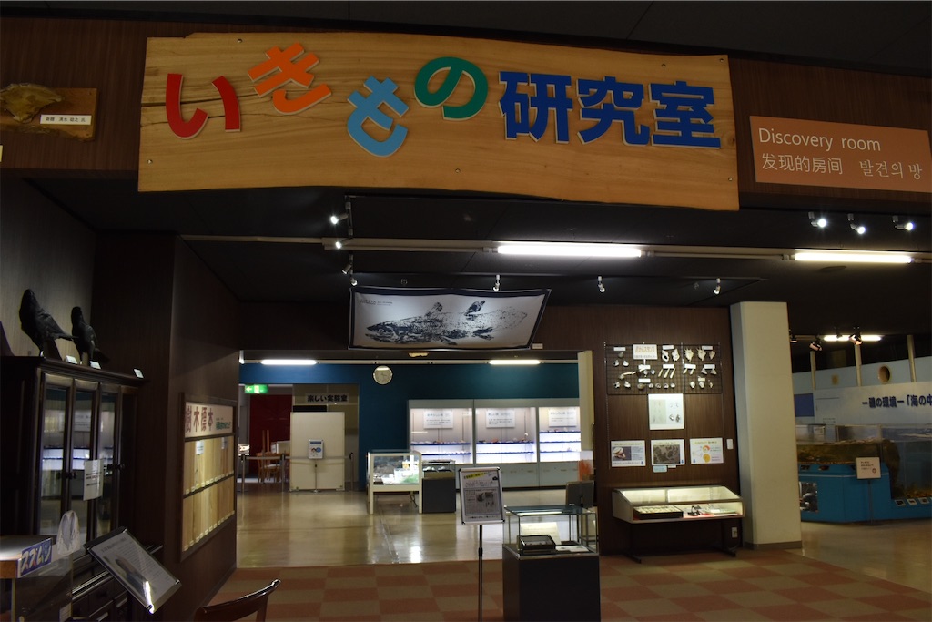 f:id:matsumotoyusuke:20230621215929j:image