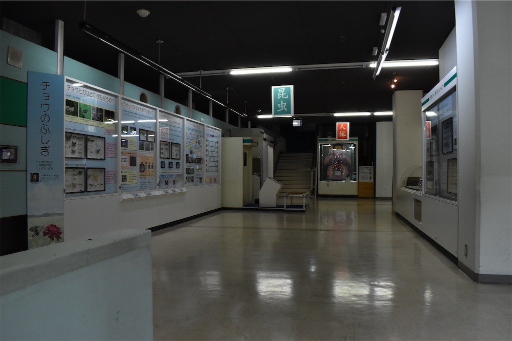 f:id:matsumotoyusuke:20230621215941j:image