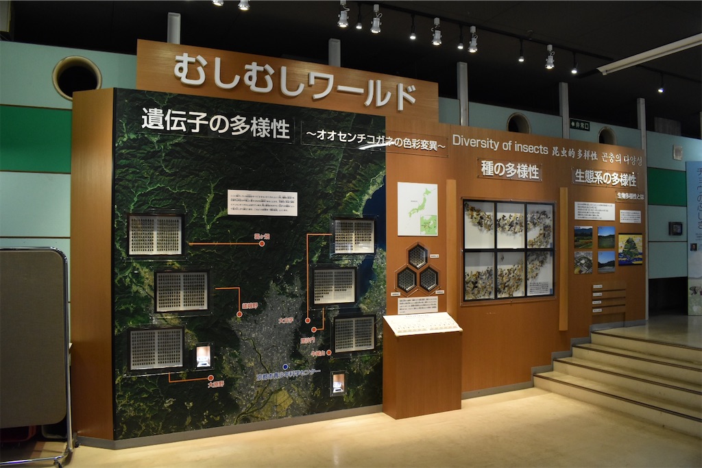 f:id:matsumotoyusuke:20230621220000j:image