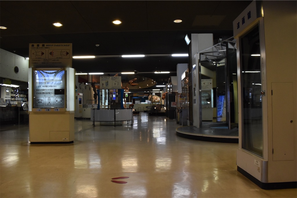 f:id:matsumotoyusuke:20230621220007j:image