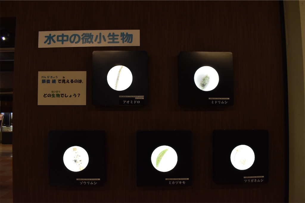 f:id:matsumotoyusuke:20230621220012j:image