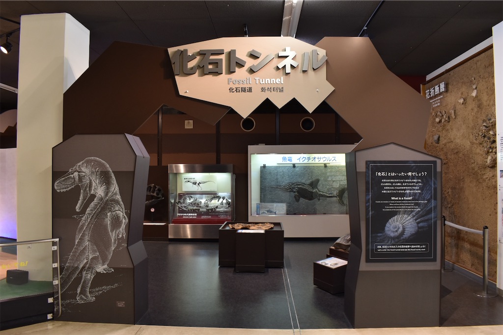 f:id:matsumotoyusuke:20230621220015j:image
