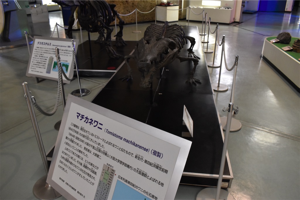 f:id:matsumotoyusuke:20230621220041j:image